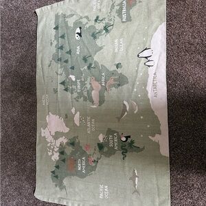 Zara Kids Cotton World Map Play Rug in Sage Green